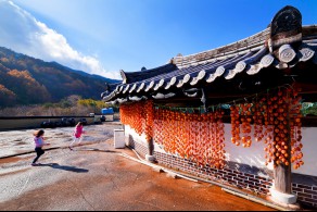 우수상 / 가을속으로 /  하동군 청학동