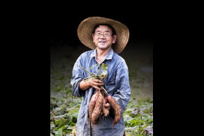 입선 / 수확의 기쁨 /  아산시 배방면