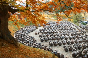 입선 / 가을 장독대 모습 /  논산시 노성면