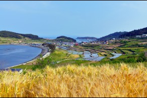 입선 / 청산도의 봄 /  완도군 청산도