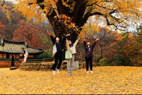 입선(대학생) / 운곡서원의 가을 풍경 /  경북 경주시