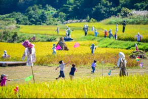 입선(일반인) / 가을 추억 만들기 /  경남 거제시 삼거동