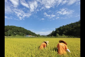 입선(대학생) / 보물찾기 /  전북 김제시 금구면