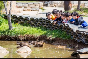 입선(일반인) / 신기한 오리구경 /  충남 서산시 운산면