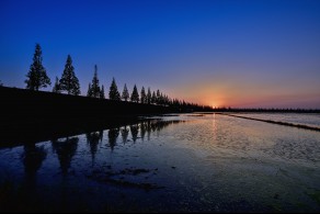 입선[일반카메라] / 일몰즈음 /  경기 평택시 팽성읍