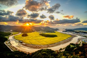 입선[일반카메라] / 소망의 결실 /  전남 함평군 학교면 물도리