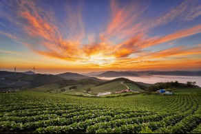 입선[일반카메라] / 안반데기 일출 /  강원 강릉시 왕산면 안반데기