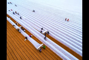 입선[일반카메라] / 이중터널 /  경북 안동시 풍천면 광덕리