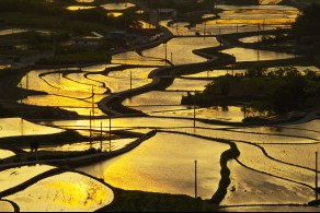입선[일반카메라] / 묘도일출 /  전남 여수시 묘도