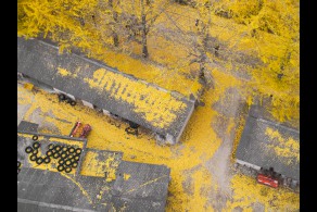 입선[일반카메라] / 가을이 내린 농가 /  경남 거창군 거창읍 학리