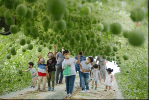 최우수[일반카메라] / 동심의 하우스 /  대구 달성군 옥포읍