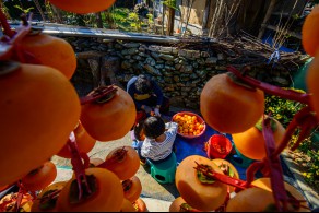 입선[일반카메라] / 할머니와 함께 /  충남 논산시 양촌면