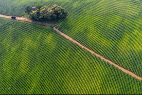 입선[일반카메라] / 부농의 꿈 /  경기 화성시 양감면 요당리