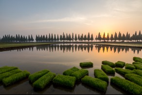 최우수[일반카메라] / 모내기의 아침 /  경남 창원시 죽동마을