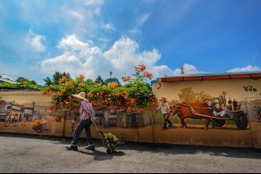 입선[일반카메라] / 능소화핀 벽화 /  충남 아산시 도고면 신언리