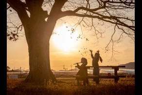 입선[일반카메라] / 작은 음악회 /  전남 화순군 도곡면 사랑나무