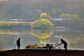 대상[일반카메라] / 밭갈이 /  충주시 중안탑면