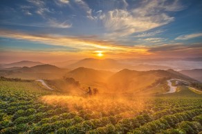 입선[일반카메라] / 풍년을 향한 아침 /  강원도 안반데기마을