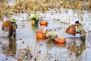 우수상[일반카메라] / 삶 /  강진군 병영면 중고리마을