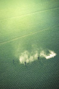 입선[일반카메라] / 농부의 아침 /  강원도 안반데기