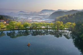 입선[일반카메라] / 반곡지의 봄 /  경북 경산시 반곡지