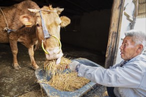 입선[일반카메라] / 많이 먹어라 /  경북 상주시 공성면