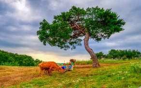 우수상[일반카메라] / 막걸리 한 잔 /  고령군 다산면 벌지리