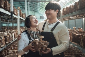 입선[일반카메라] / 모자지간 /  표고버섯 재배하우스