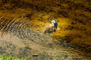 입선[일반카메라] / 잡혔을까? /  간현 소금산부근