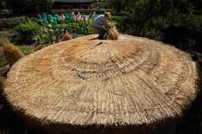 입선[일반카메라] / 이엉작업 /  낙안읍성