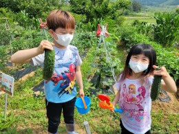 입선[휴대폰] / 수확의 기쁨 /  경북 구미시 해평
