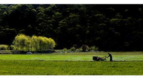 입선[일반카메라] / 밭가는 농부 /  전남 구례읍