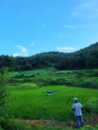 입선[휴대폰] / 드론방제사 /  충남예산군응봉면건지화리