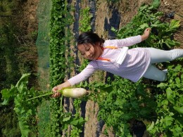 입선[휴대폰] / 무 성화봉송 /  안동시 와룔면