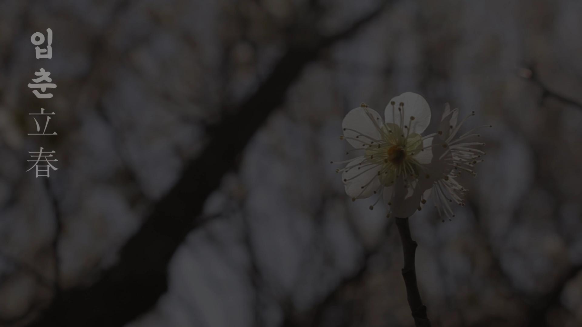 입선[영상] / 매실향 가득한 농촌생활 /  전남 무안