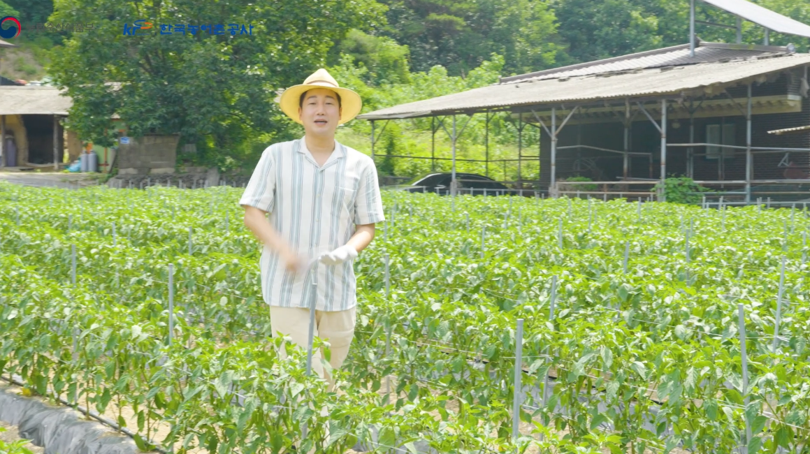입선[영상] / 농~촌스럽다! /  경상북도 안동