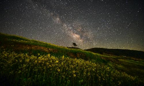 입선[사진] / 청산도 은하수 /  전남 완도군