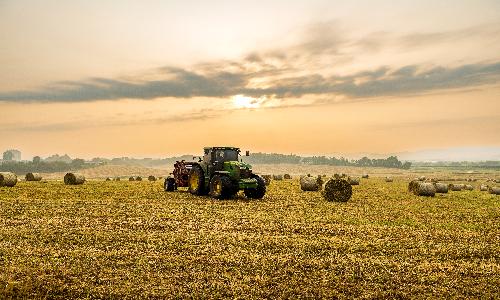 입선[사진] / 트랙터 일꾼 /  안성농원