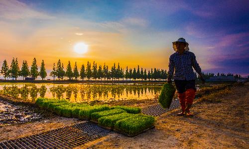 입선[사진] / 귀농 새로운 농촌 /  경남 창원시