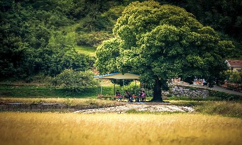 입선[사진] / 익어가네 /  전남 순천시
