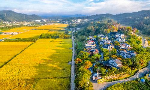 최우수상[사진] / 풍요로운 땅, 아름다운 마을 /  경북 포항시