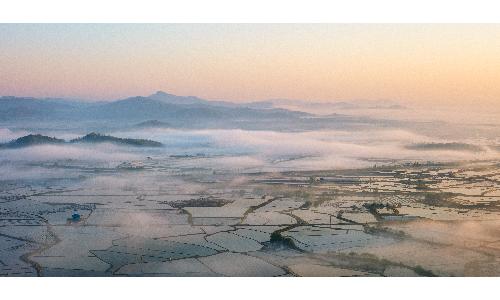 입선[사진] / 평야의아침 /  철원소이산