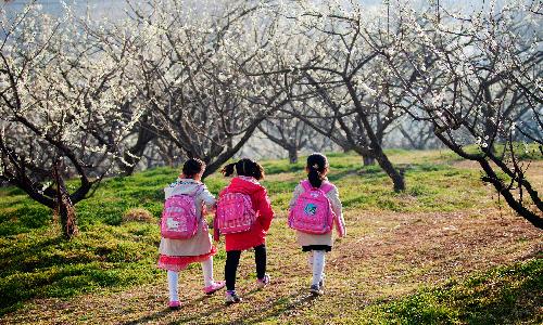 입선[사진] / 등굣길 /  천남 순천시