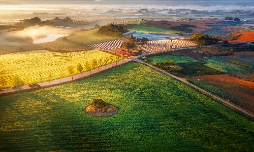 대상[사진] / 아침햇살속농촌의숨결 /  전북고창(학원농장)