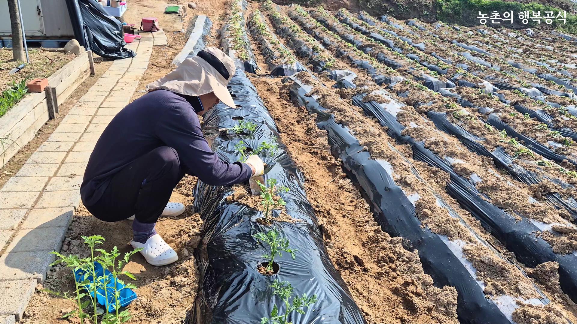최우수상[영상] / 농촌의 행복공식 /  경기도 이천