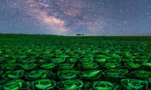 입선[사진] / 별빛을 먹은 땅 /  강원 정선군
