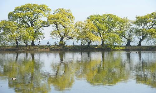 입선[사진] / 봄을 달린다 /  경북 경산시