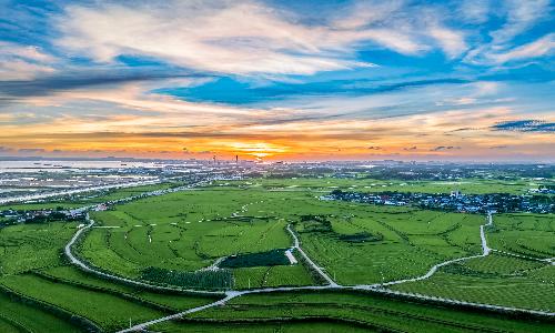 입선[사진] / 풍요로운 들녘의 노을 /  경기 평택