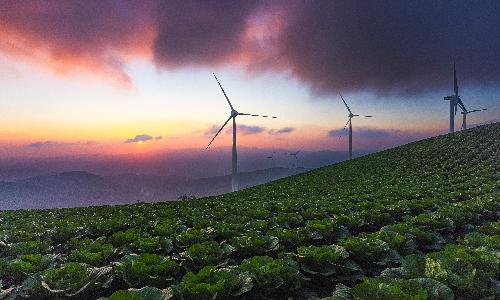 입선[사진] / 배추밭의 일출 /  강원도 태백시