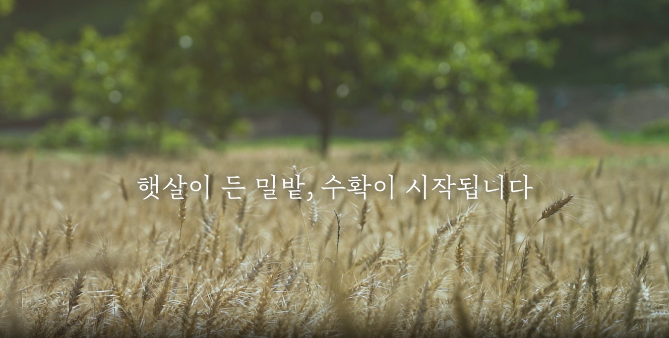 입선[영상] / 벼리지 않은 방식 /  화순군